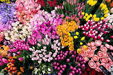 CG设计师分享图片展示《最终幻想8》重制版效果